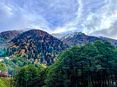landschaft-ayder-plateau.jpg?b=1&s=170x170&k=20&c=_oBqH4JGwP6AMzMTOnF89vyYfDTMOfDV-YB1bgo1xUQ=