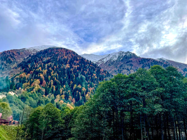 istock Landscape Ayder Plateau 1438404047