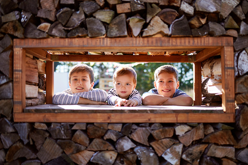 three brothers look through an opening in a stack of wood, photographed in high resolution with copy space