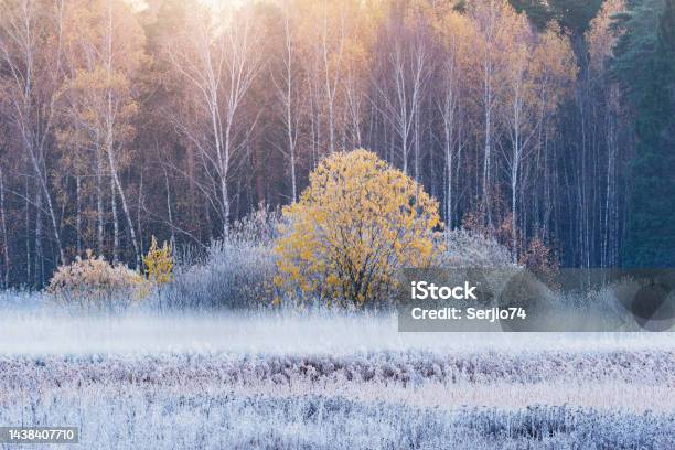 Fog Above The Meadow At Cold Morning Stock Photo - Download Image Now - Snow, Sunset, Autumn