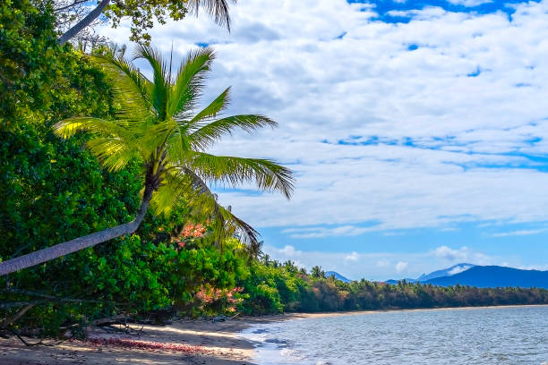istock Wonga Beach Near port Douglas Far North Queensland 1438410046
