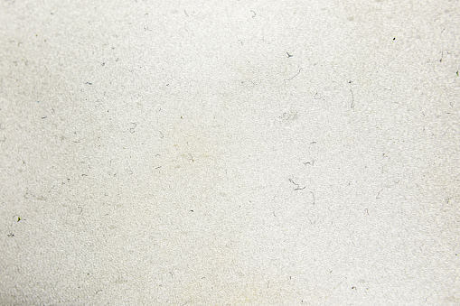 Dark hair, fur and dust particles on white sponge-like texture background.