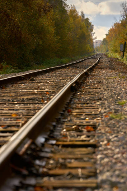 istock Train Tracks and Autumn Leaves vertical 1438420771