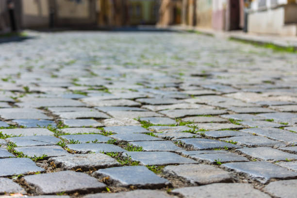 istock Perspective shot of cobblestone 1438422968