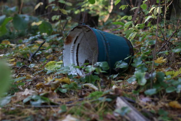 istock an empty bucket lies in the woods 1438423728