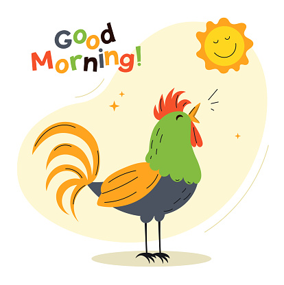 Rooster wish good morning