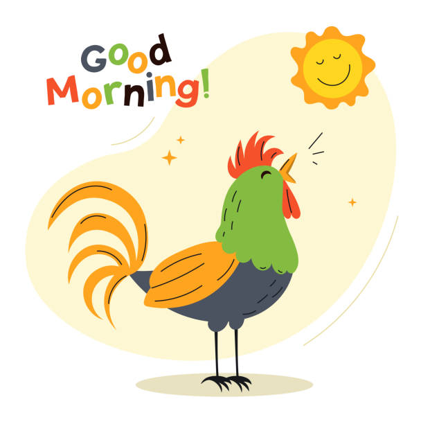 Rooster Wish Good Morning Stock Illustration - Download Image Now - Cartoon,  Pets, Rooster - iStock