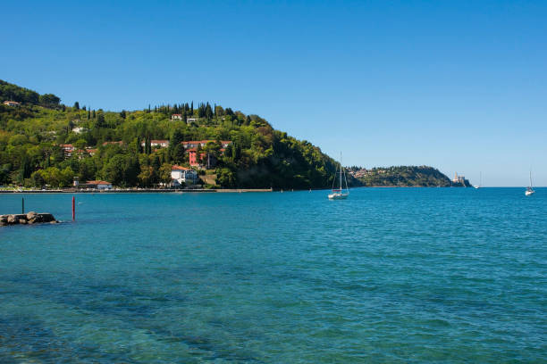 istock Strunjan Protected Area, Slovenia 1438429489