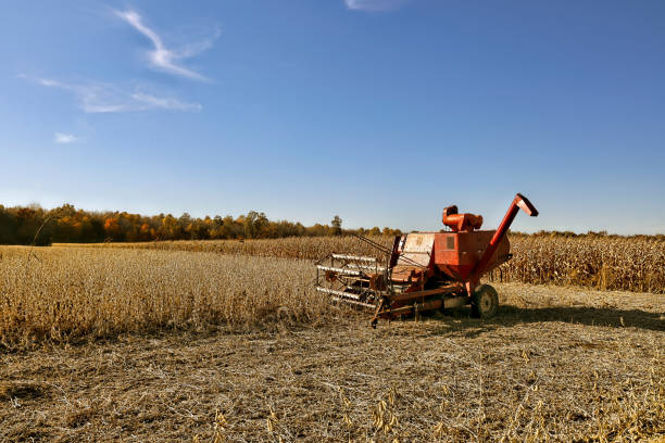 istock Old horse drawn soybean harvester 1438429981