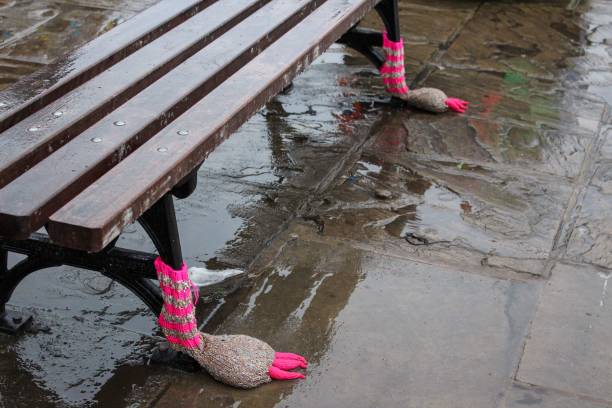 istock Legs of a bench in knitted socks under the rain 1438432252
