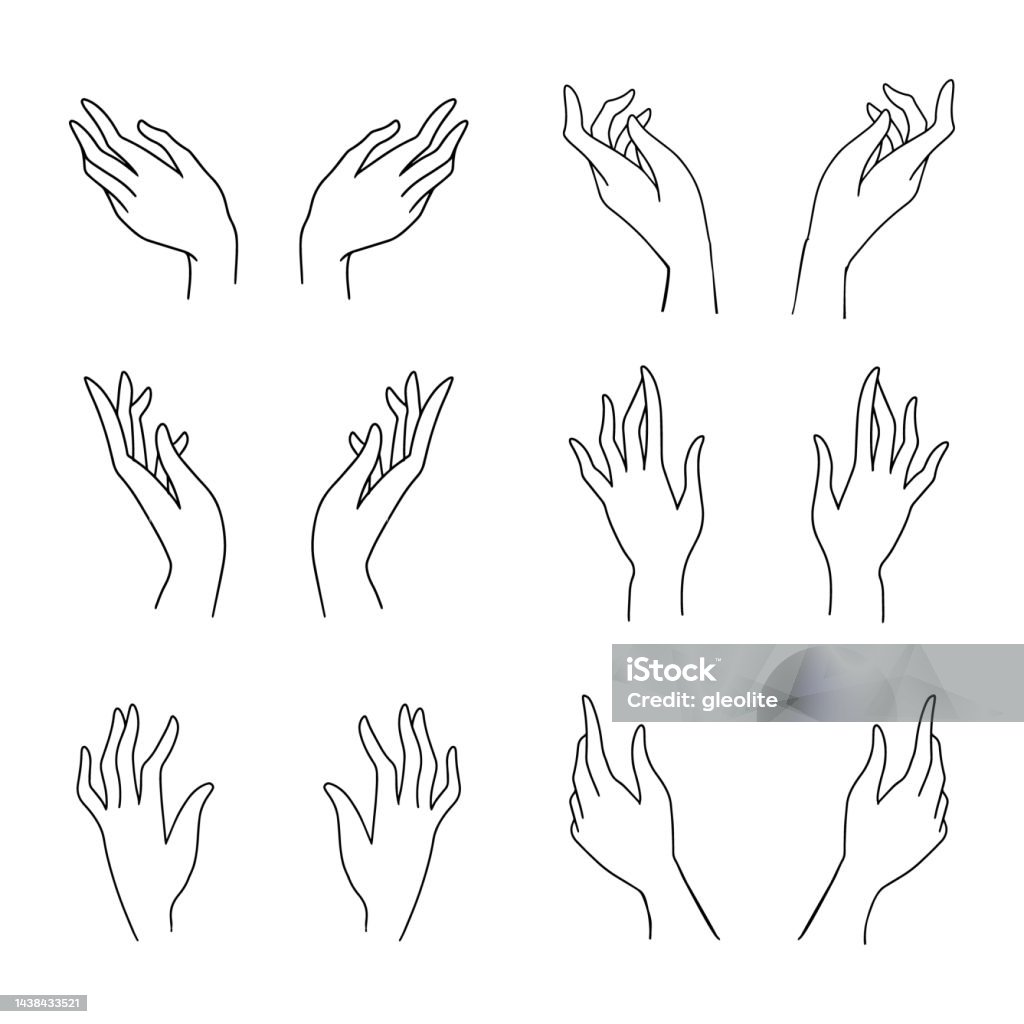 Một Bản Vẽ Phác Thảo Đơn Giản Của Lòng Bàn Tay Vector Phác Thảo ...