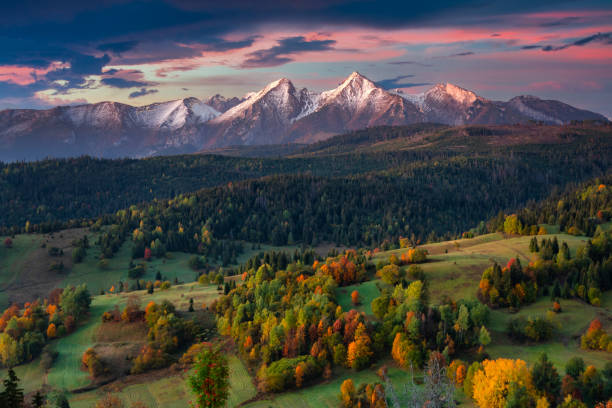 夜明けにタトラ山脈の下に赤と黄色の木がある美しい秋。スロバキア - carpathian mountain range ストックフォトと画像