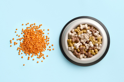Dry dog vegan vegetarian food concept. Red lentils near bowl with pet feed on blue background with copy space
