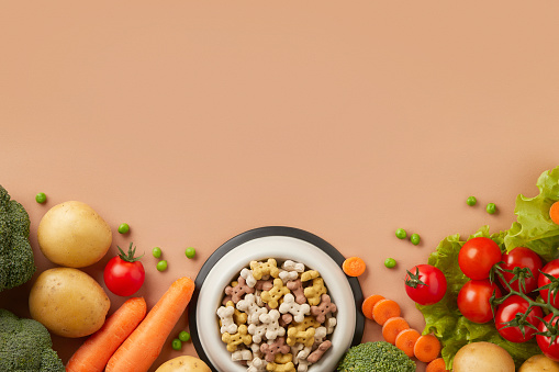 Dry dog vegan vegetarian food concept. Raw vegetables and green near bowl with pet feed on brown background with copy space