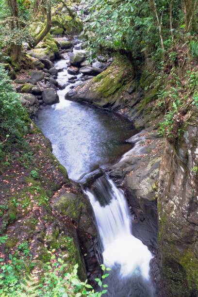 istock Waterfall Cascada De Texolo in Xico, Mexico 1438439089