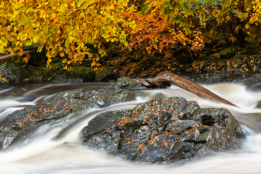 Taken in Autumn while walking through some woodlands.  Captured water flowing over rocks
