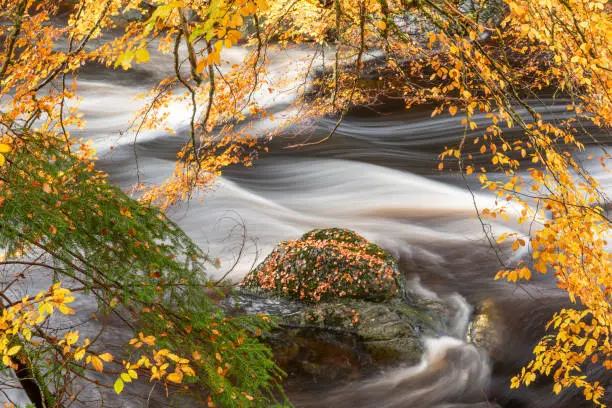 Taken in Autumn while walking through some woodlands.  Captured water flowing over rocks