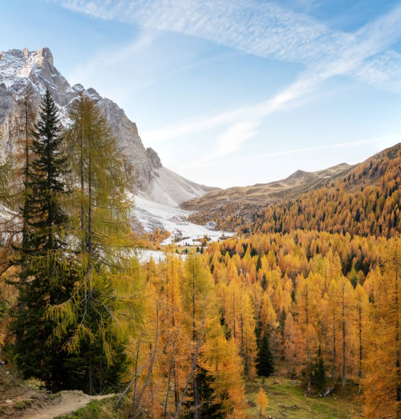 istock Dolomites, Pale di San Martino 1438440826