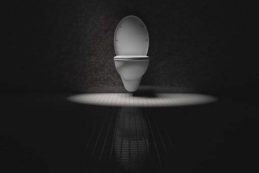 White ceramic clean toilet bowl illuminated by a spotlight. The important place of a person