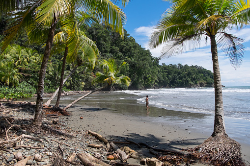 Puntarenas, Costa Rica - September 08, 2022: Natural landscape between palm trees in Playa Ventanas on the coast of Uvita