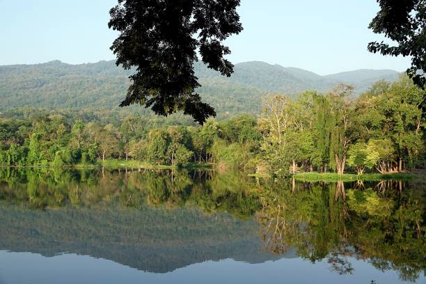 istock Lake and teh reflection of dense, green forest on teh water 1438446481