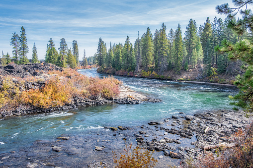A view of the Deschutes River from the hiking trail along the bank as is bends towards Benham Falls near Bend Oregon