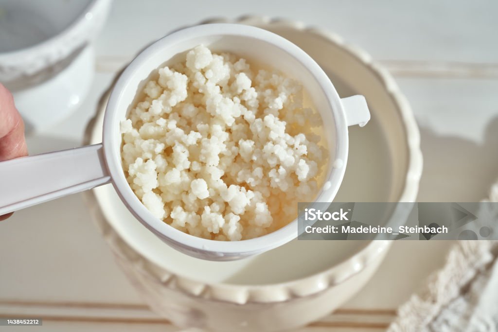 Grani Di Kefir In Un Setaccio Bianco Sopra Una Ciotola Di Latte -  Fotografie stock e altre immagini di Alimentazione sana - iStock