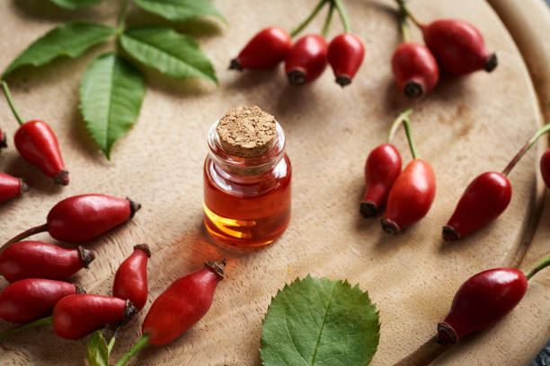 istock Red rosehip seed oil with fresh red rose hips 1438452422
