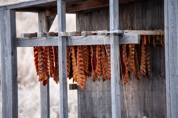 dried salmon in western alaska - alaskan salmon imagens e fotografias de stock