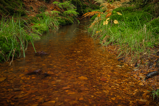 Hamersky creek with waterfalls in Luzicke mountains in color autumn rainy day