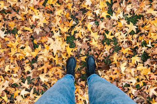 Personal perspective of a woman standing on autumn leaves