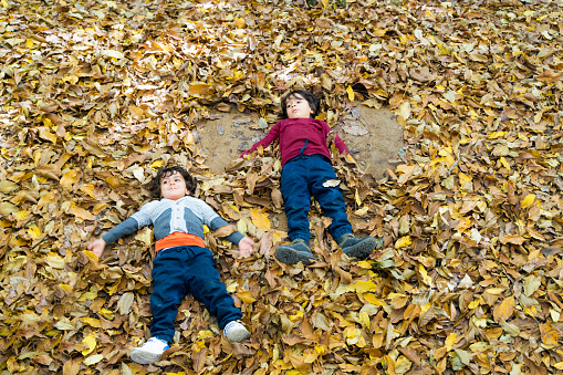 brothers playing among fallen autumn leaves. long-haired boys in the woods spend time with nature. Shot with a full-frame camera in daylight.