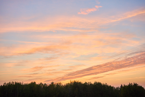 Clouds colored by a scenic sunset above a forest treeline in the early autumn