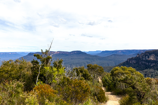 Path to the lookout of Jamison Valley in Blue Mountains National Park, background with copy space, full frame horizontal composition