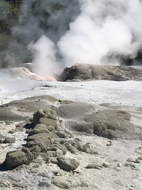 istock Rotarua New Zealand 1438469903