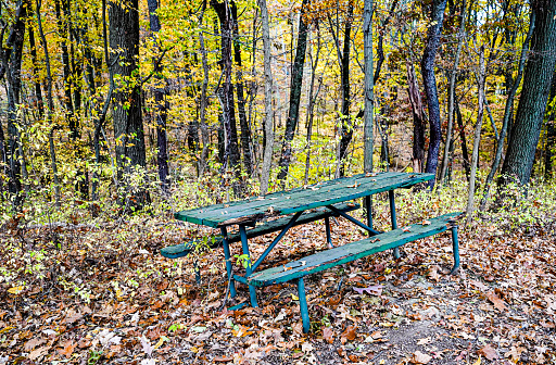 Outdoor rustic picnic table in a forest during autumn in Ohio, USA.
