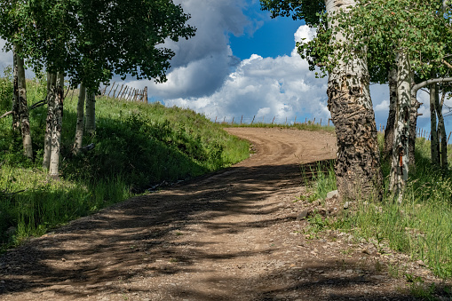 Dirt road through ranch land lined with lush aspen trees near Telluride and Ridgway Colorado in southwest USA.