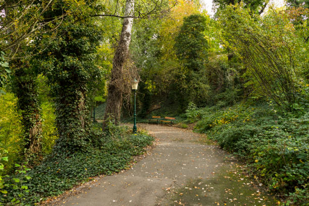istock Autumn in Kurpark Oberlaa, Vienna, Austria 1438473817