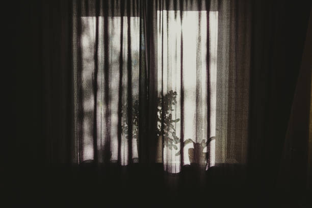 A slightly blurred illuminated window and curtains with flower pots on a dark black background. Retro style. Backdrop