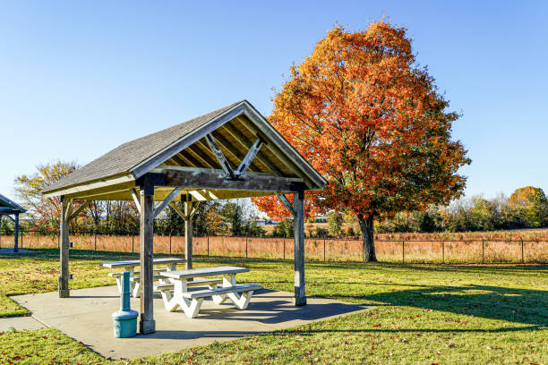 istock Picnic Table Pavilion in Autumn 1438476858