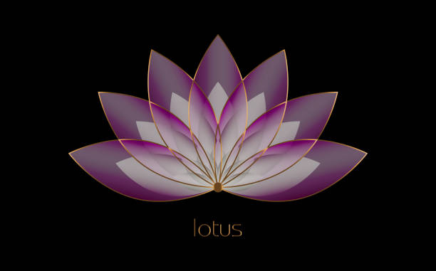 ilustrações, clipart, desenhos animados e ícones de símbolo de lótus roxo, flor da vida. geometria sagrada. símbolo de harmonia e equilíbrio. sinal de pureza. chakra yoga design vetor isolado em fundo preto - lotus water lily lily pink