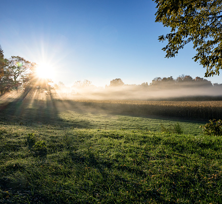 An awesome, ethereal, early October autumn dawn lens flare sunrise burns brightly through layers of foggy morning mist floating serenely above a tranquil, dew-drop drenched grass meadow and corn field in western New York State near Rochester, NY.