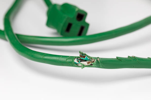 Electrical extension cord wiring damage from mice. Rodent control, mouse infestation and home repair concept. stock photo