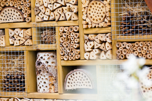 Large Insect House, or Insect Hotel in a Flower Garden