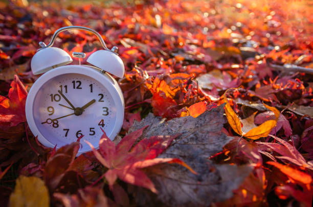 istock Fall Back Daylight Saving Time vivid red autumn leaves background in morning light 1438507007