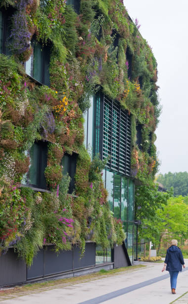 istock Eco Building Covered in Plants and Greenery Reducing Carbon Dioxide and Pollutants 1438507176