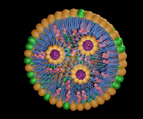 Lipid nanoparticle mRNA vaccine used against Covid-19 and influenza. 3D illustration showing cross-section of lipid nanoparticle carrying mRNA of the virus (orange)