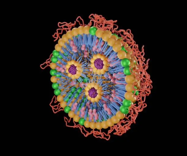 Photo of Isolated Lipid nanoparticles with PEG conjugated for targeted siRNA delivery