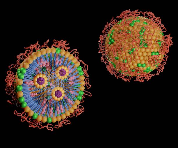 istock Isolated Lipid nanoparticles with PEG conjugated for targeted siRNA delivery 1438509948