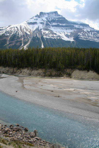istock River in the Rocky Mountains in western Alberta, Canada. 1438513682